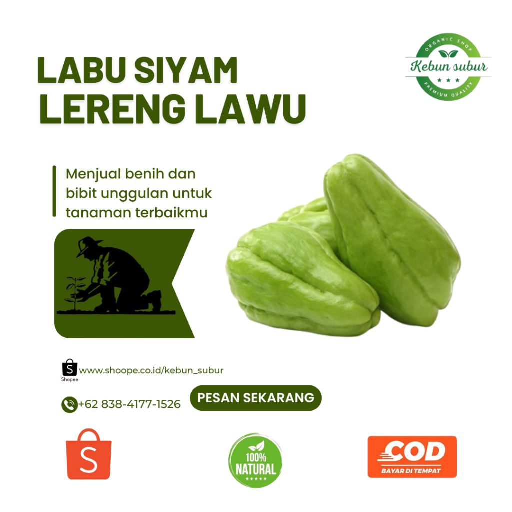 

KEBUN_SUBUR - Labu Siam / Jipang Sayur Segar Berkualitas