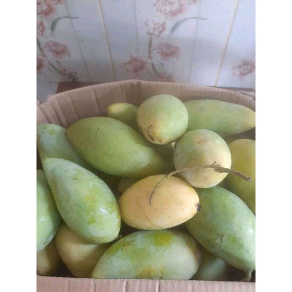 

MANGGA GOLEK MADU/OKYONG ASLI INDRAYAMU 1KG