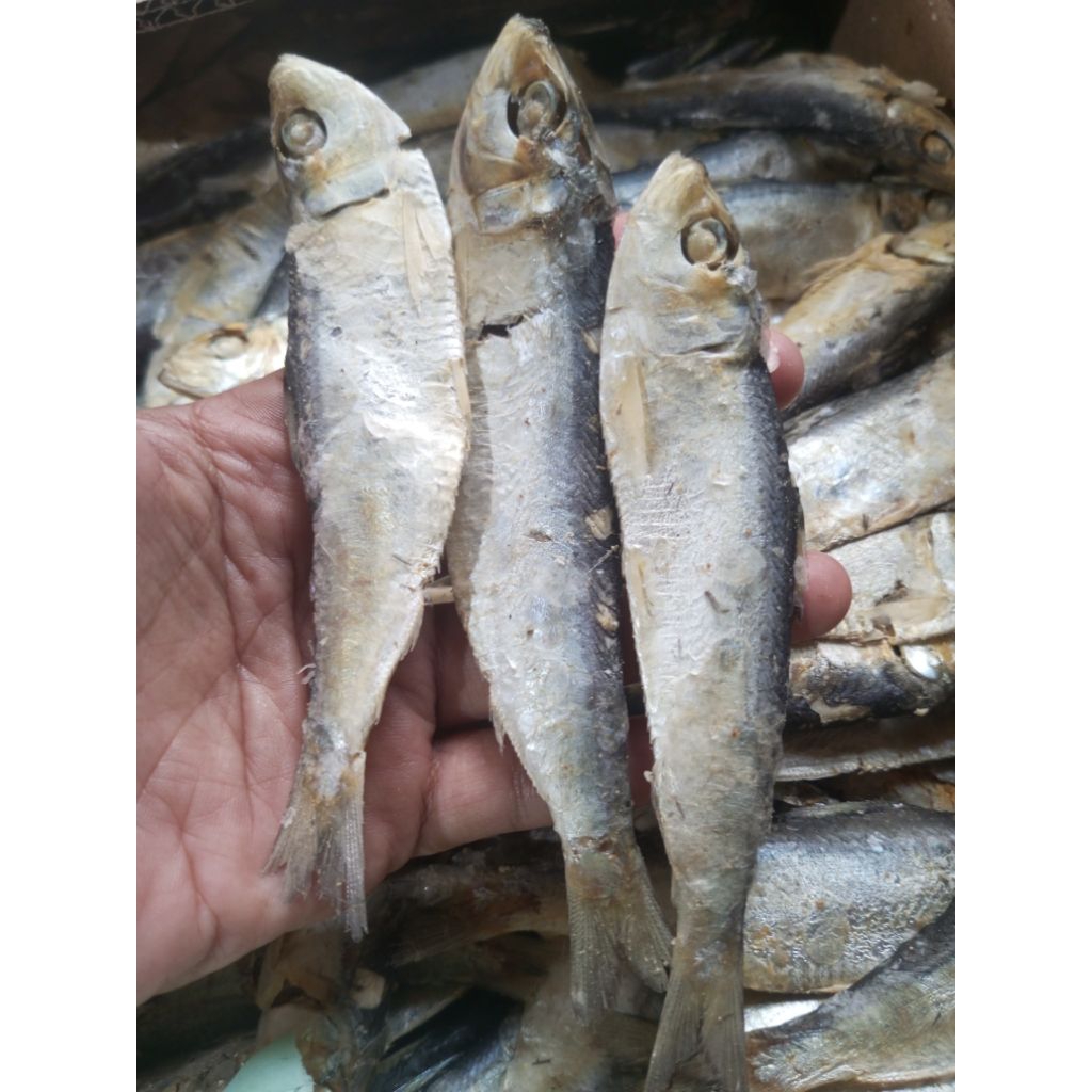 

Ikan Asin Rebus 500 Gram.
