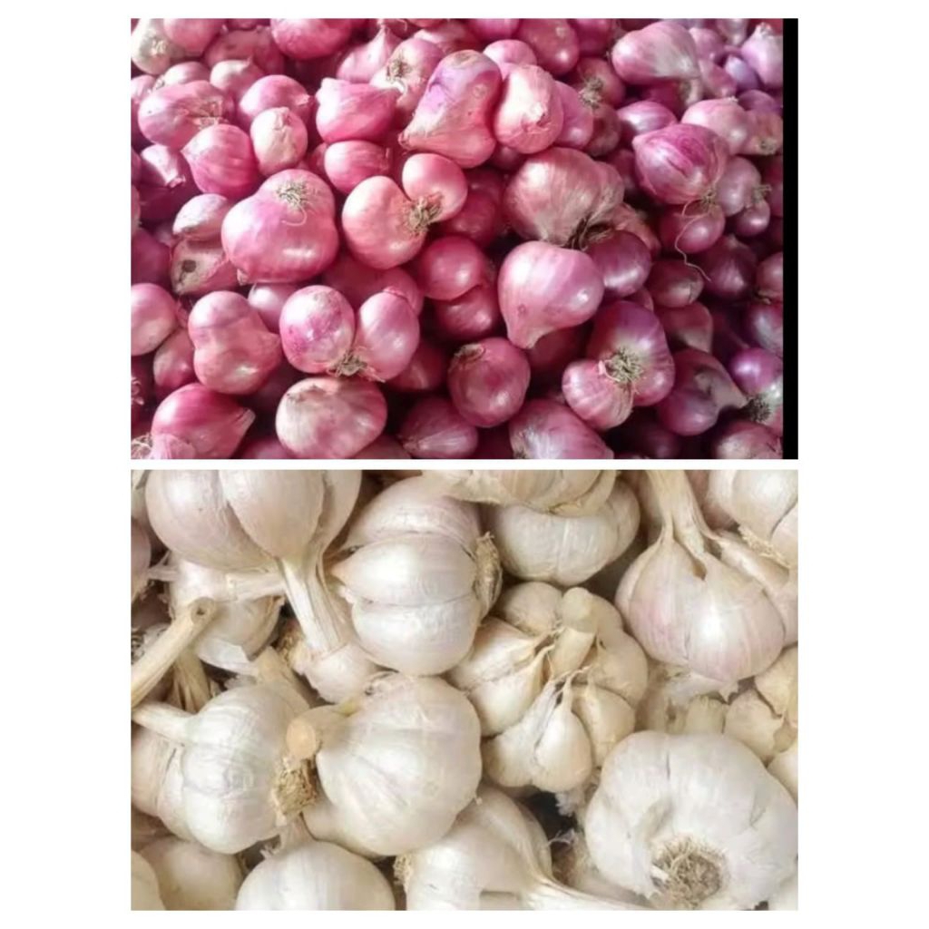

SEPAKET 250g BAWANG MERAH&PUTIH KATING