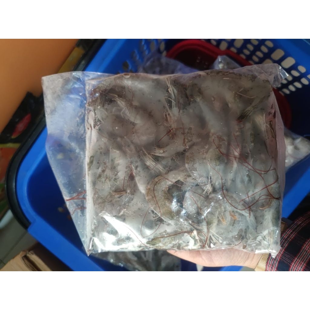 

Udang Vaname 500gr