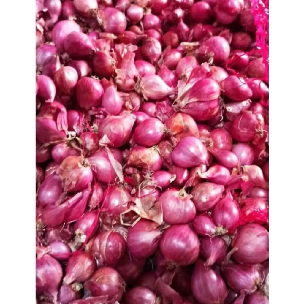 

Bawang merah Nganjuk 500 gr ,1 kg
