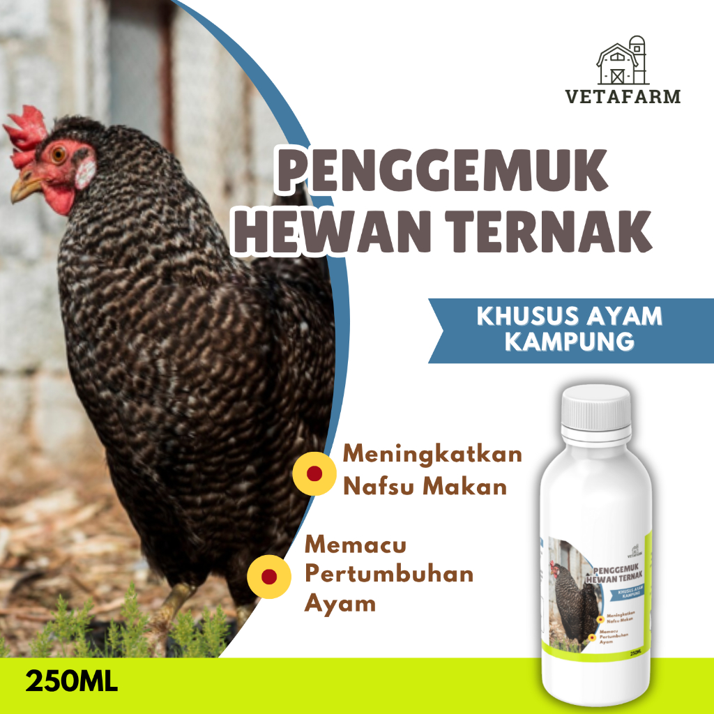 VETAFARM Vitamin Ayam Kampung Untuk Meningkatkan Produksi Telur 250ML
