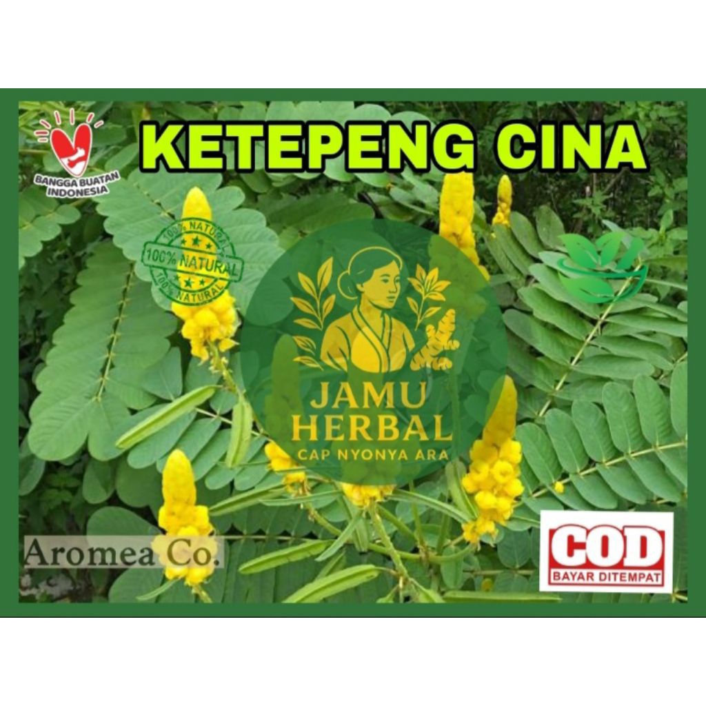 

Daun Ketepeng Cina / Cassia Allata Segar Obat Gatal Bersih 100% & Organik (100 gram)