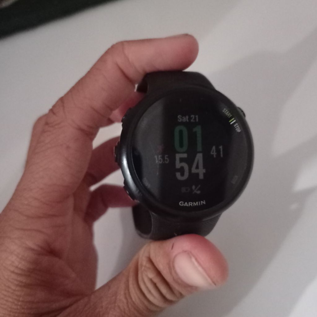 garmin forerunner 45