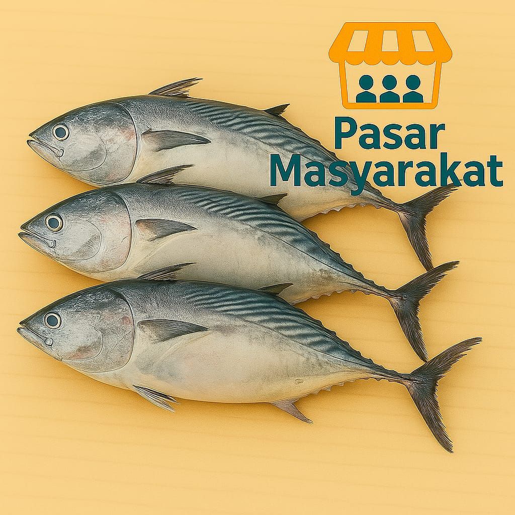 

Ikan Tongkol Segar Pasar.Masyarakat