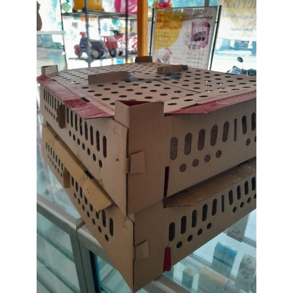 

BUKAN KARDUS PACKING UNGGULAN-DOC AYAM KAMPUNG UNGGULAN KUB/ANAK AYAM KAMPUNG UNGGULAN KUB/DOC AYAM KAMPUNG/ANAK AYAM KAMPUNG Umur 1-2 Minggu Insya Allah lebih sehat dan kuat/GARANSI GANTI BARU ASLI BUKAN KARDUS PACKING UNGGULAN