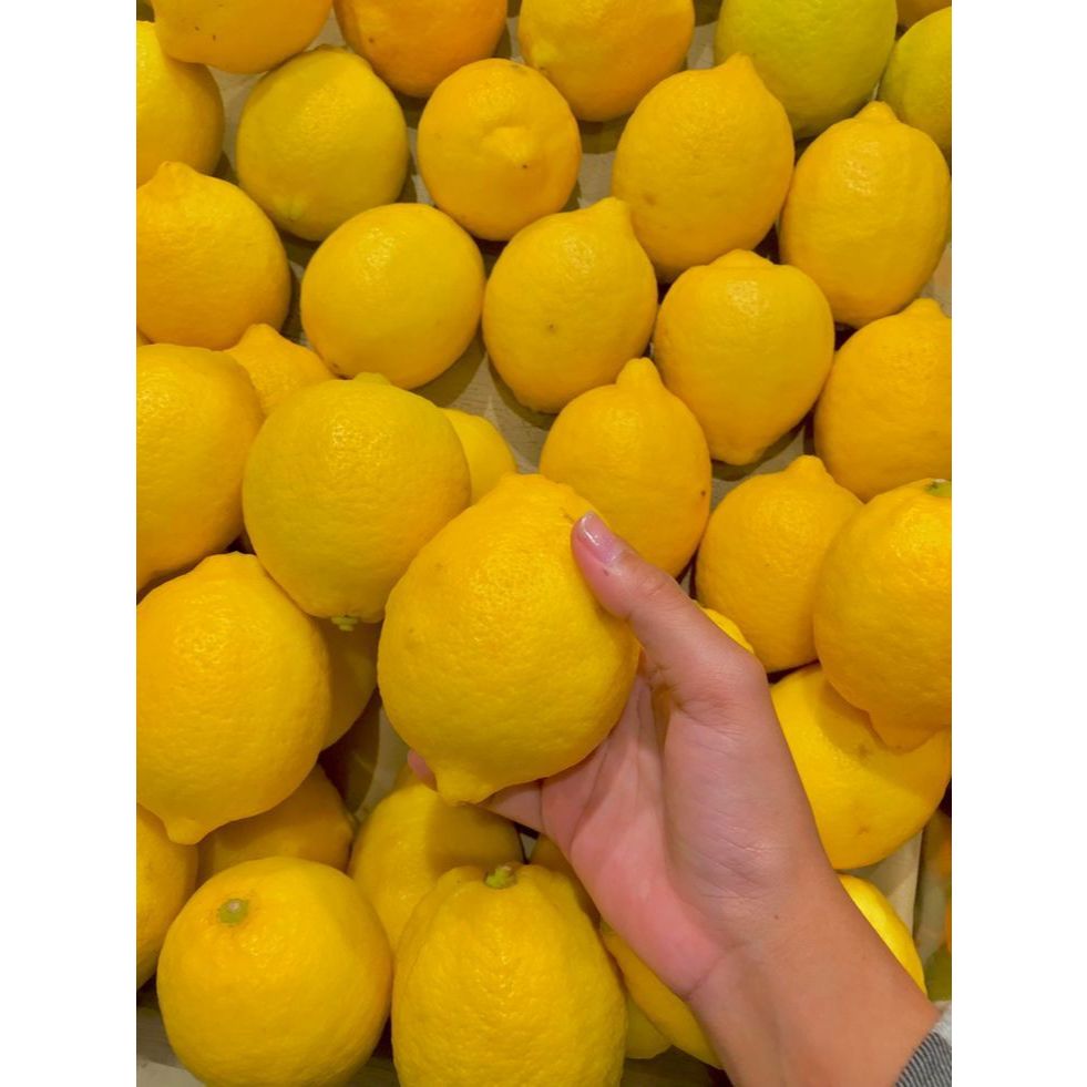 

lemon - Jeruk Lemon California 1kg Super Grade A