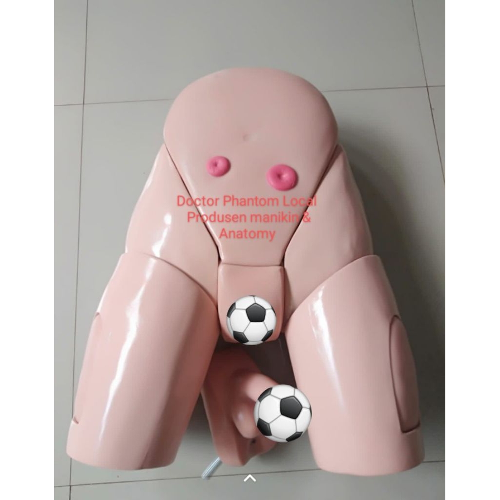Phantom Kateter Multifungsi Phantom Pemasangan kateter | Phantom Manikin Model Multi Kateter