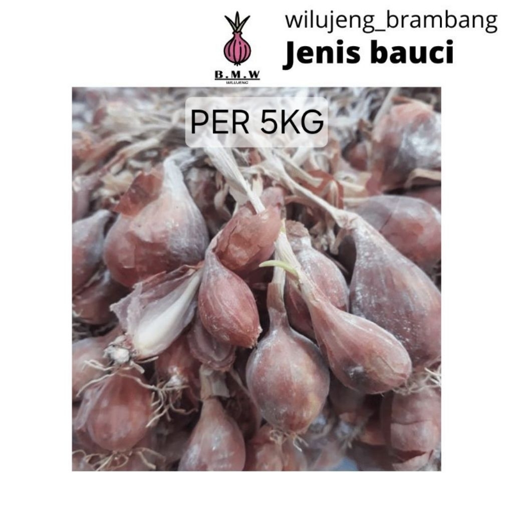

[PER 5KG] BAWANG MERAH BAUCI (perlu iris sebelum tanam)