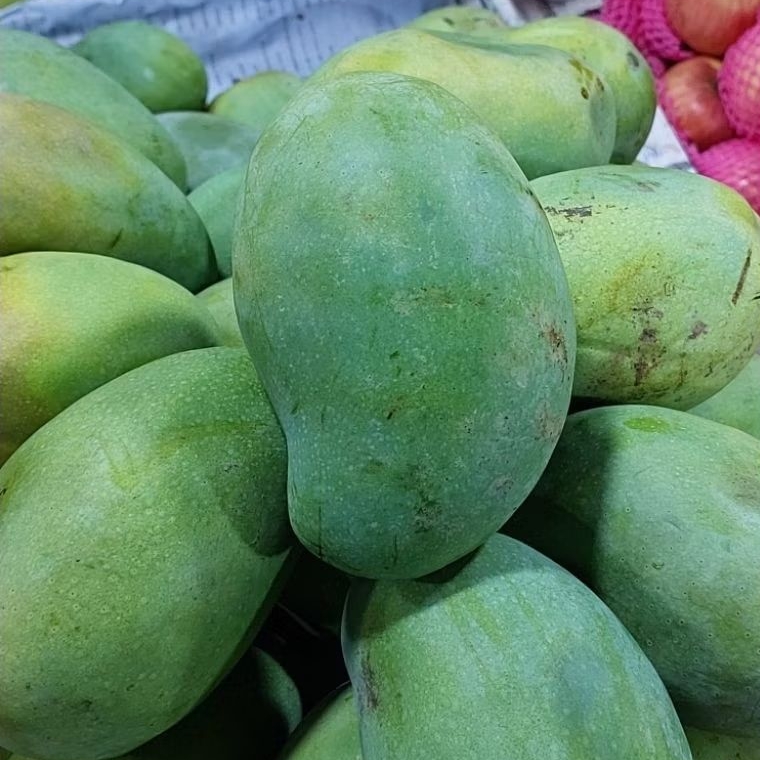

Mangga harum manis premium asli fresh petik