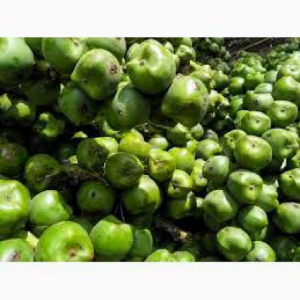 

kolang Kaling belum di kupas caruluk 1kg