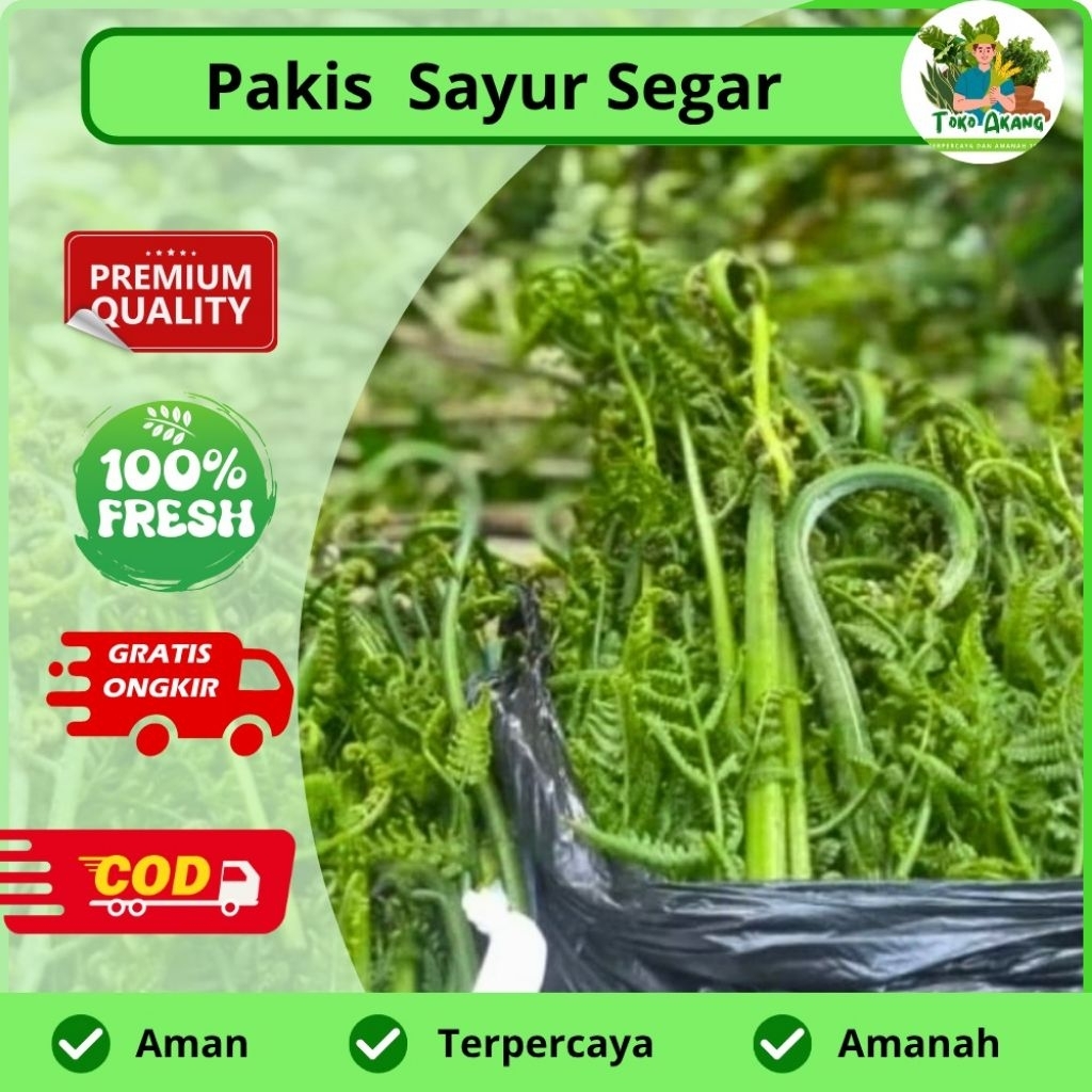 

Pakis sayur segar fress baru di petik per 500 gram -COD