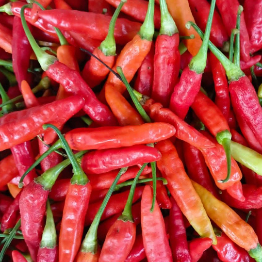 

cabe merah keriting fress 1kg/1000gr