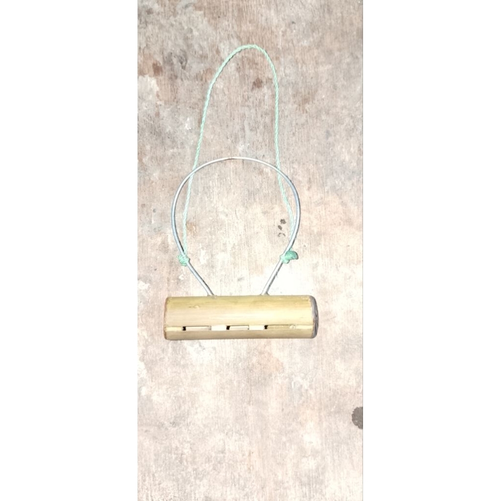 sulingan merpati nyaring sawangan kalung merpati