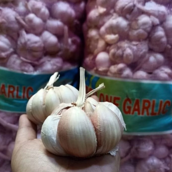 

Bawang Sinco bersih