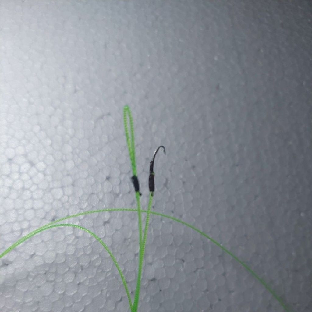 urek belut area pesawahan