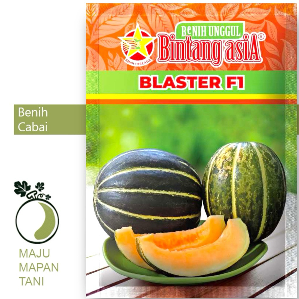 BLEWAH BLASTER F1 Original Bintang Aslia