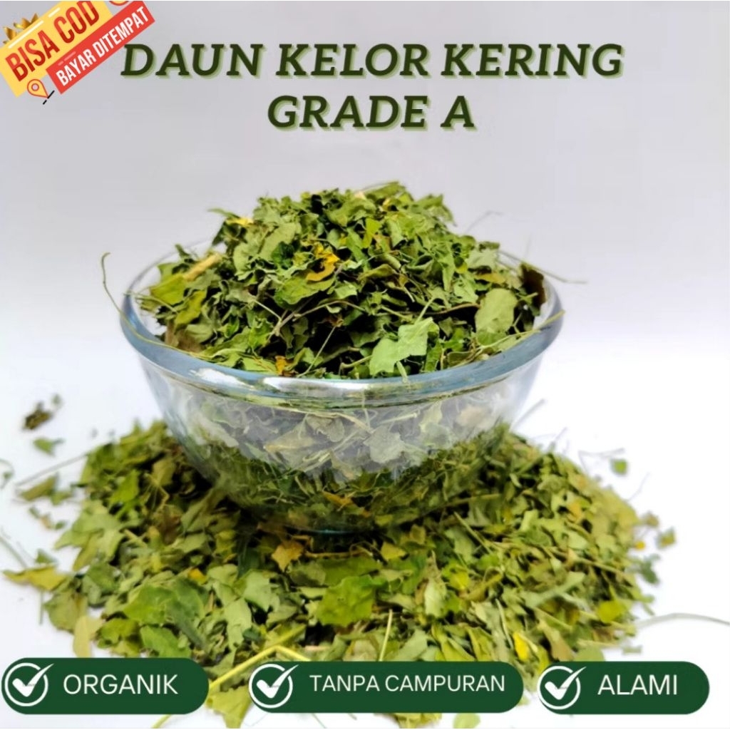

Hemat daun kelor kering asli