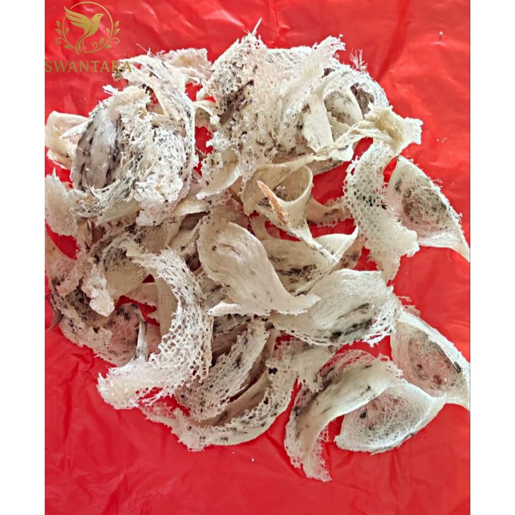 

Sarang Burung Walet Mangkok Lumut 1 gram