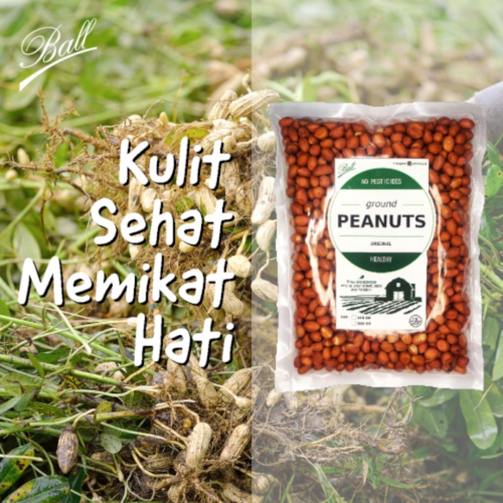 

Kacang Tanah Tradisional