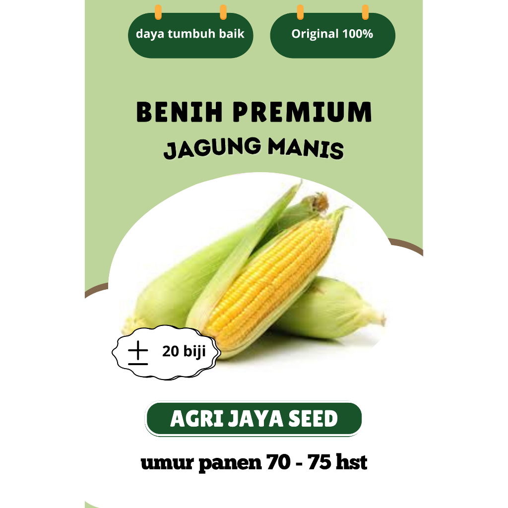 BENIH JAGUNG MANIS (20 BUTIR) MURAH