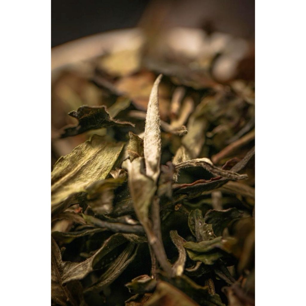 

Daun Teh Hijau Kering 1kg Teh Hijau Murni Siap Seduh