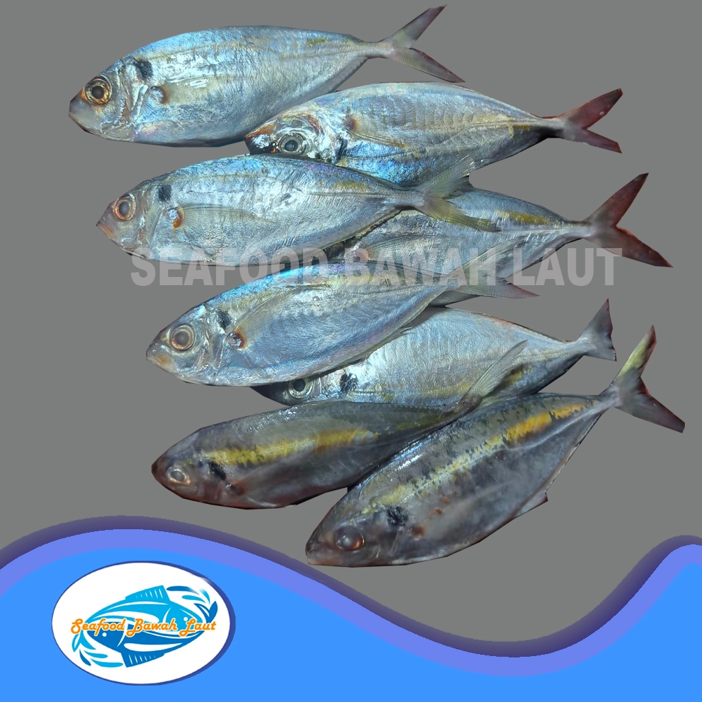 

IKAN SELAR SEGAR 1KG