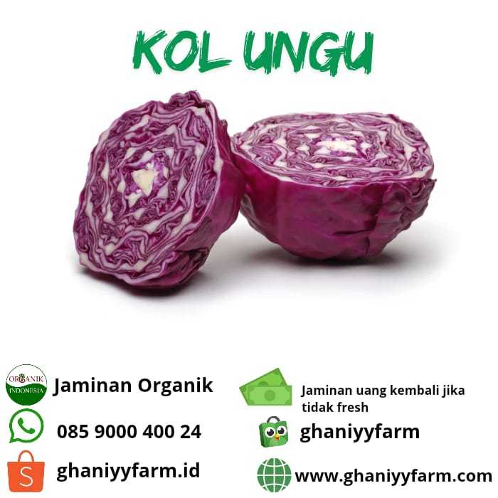 

Sayur Organik Kol Ungu Organik 500 Gram