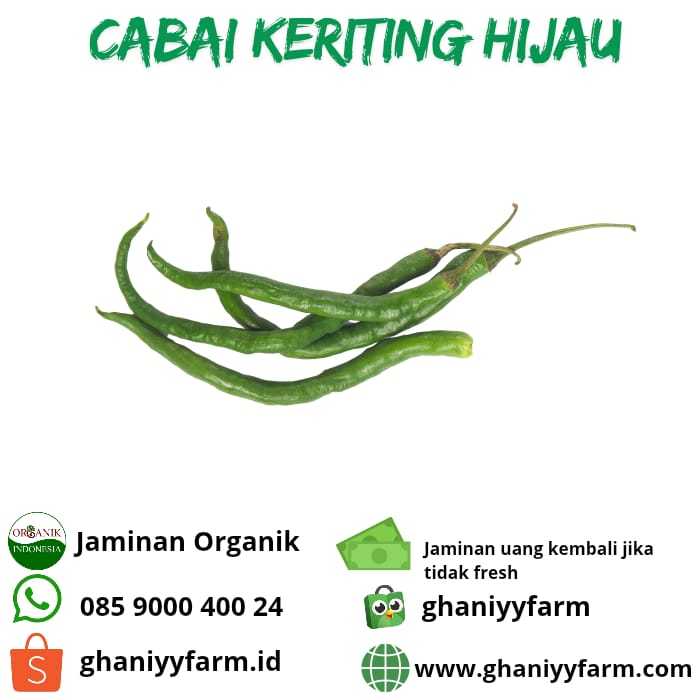 

Cabai Keriting Hijau Organik