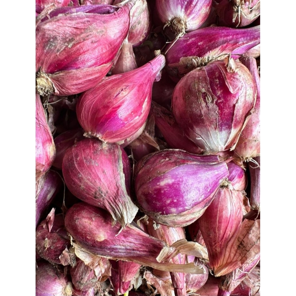 

BAWANG MERAH BREBES ASLI – SEGAR & BERKUALITAS