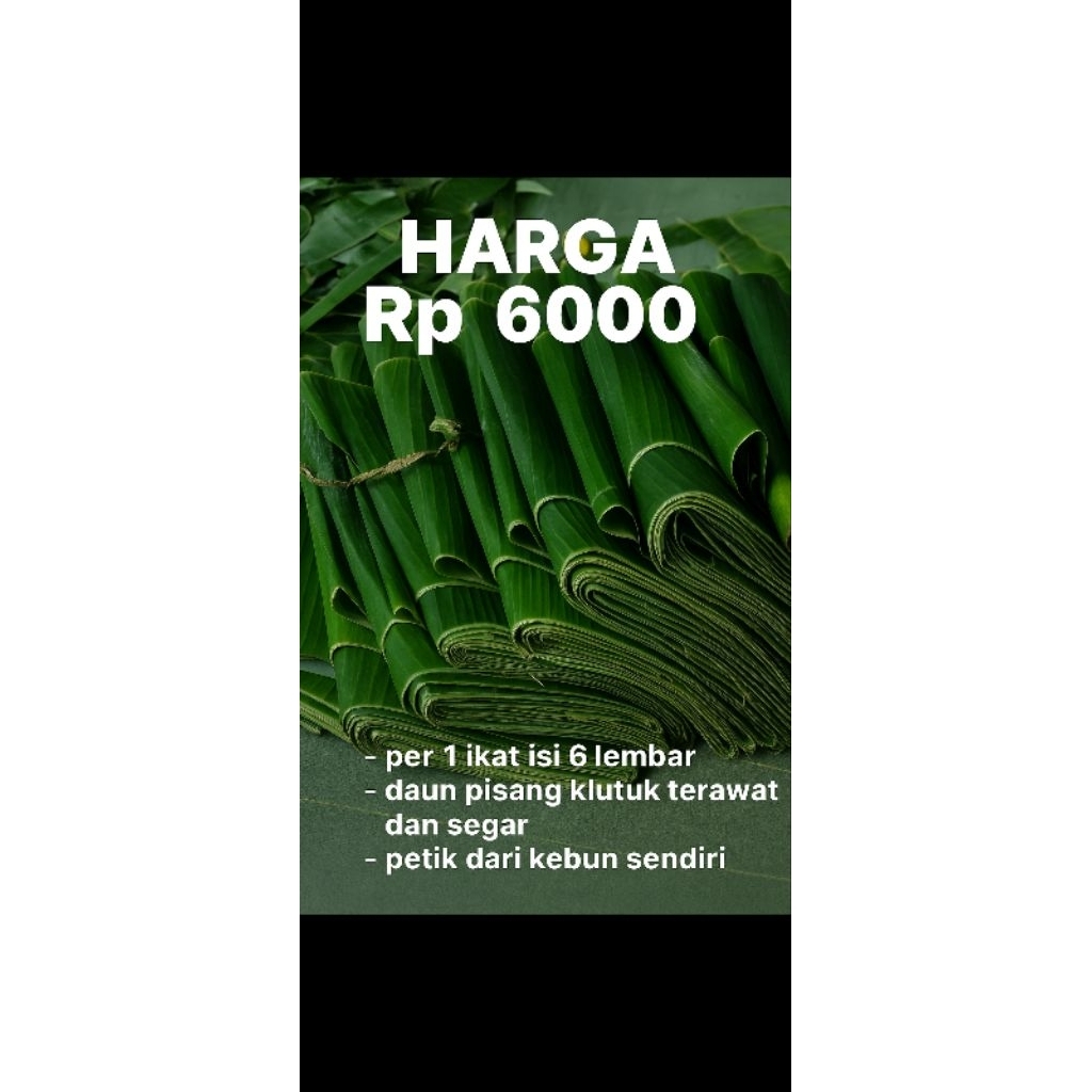 

DAUN PISANG KLUTUK