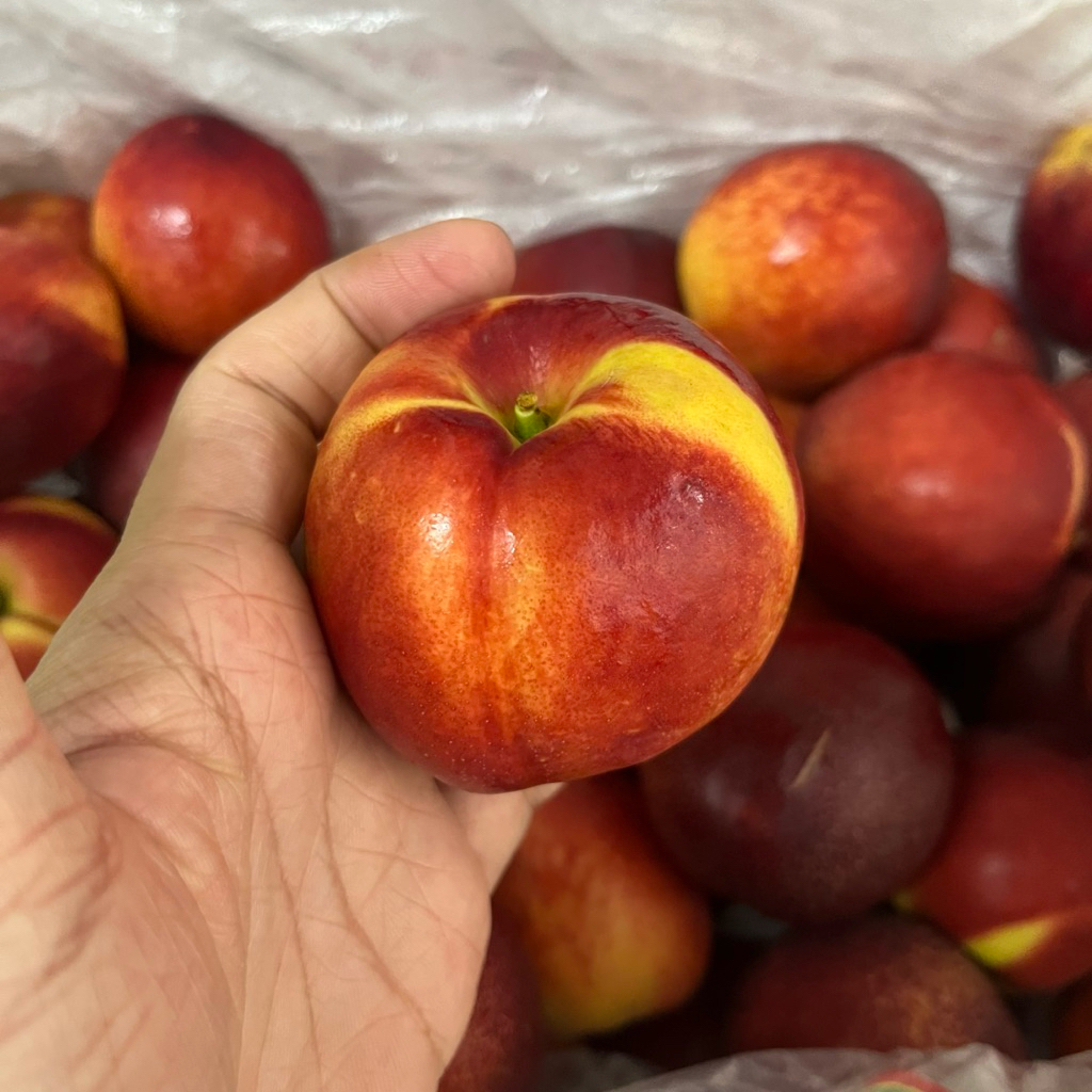 

Peach Nectarine China Buah Persik