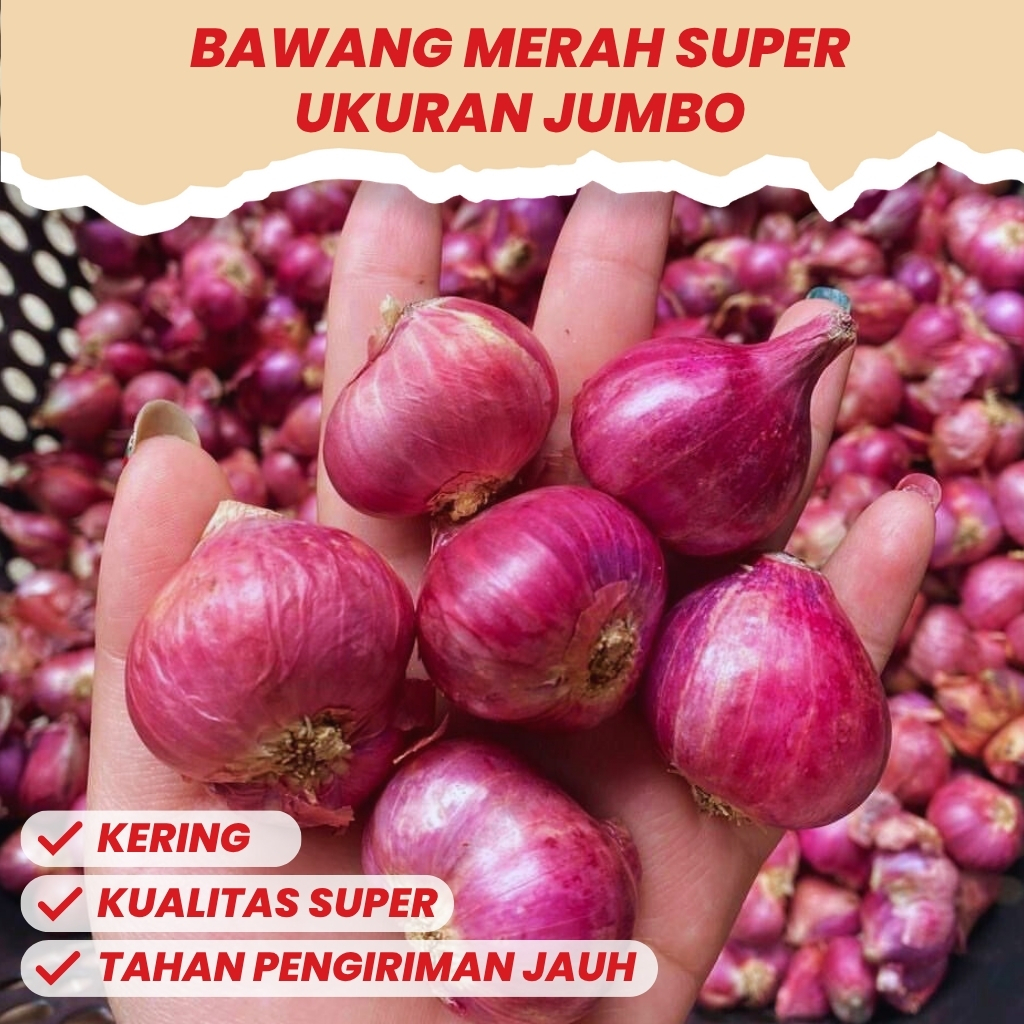 

Bawang Merah Murah Besar Fresh Kualitas Super Tersedia 1kg 1/2kg 1/4 kg 500 gram Untuk Bumbu Masakan