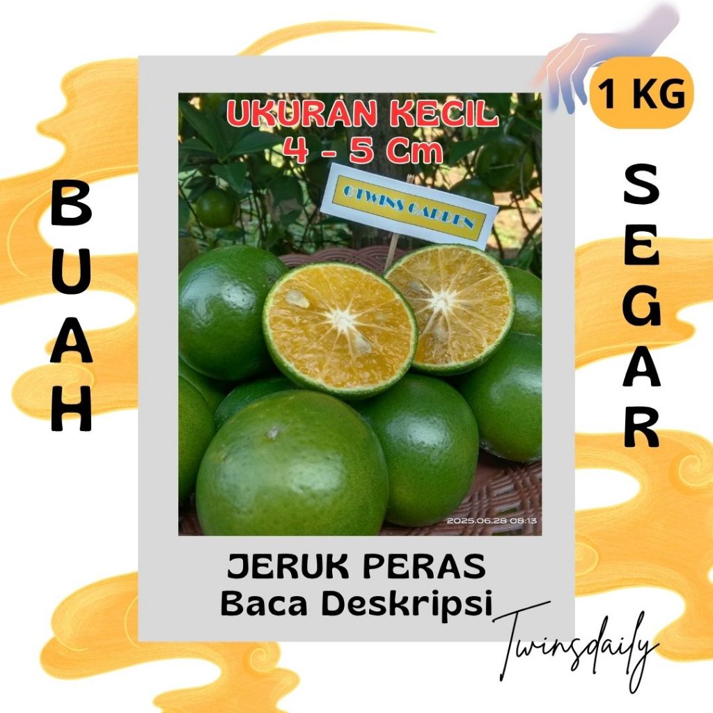 

GG | 1 Kg Buah Jeruk Peras Manis Asam Segar Langsung Petik Kebun