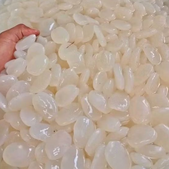 

Kolang Kaling Ceruluk Super Segar Fresh 1 KG