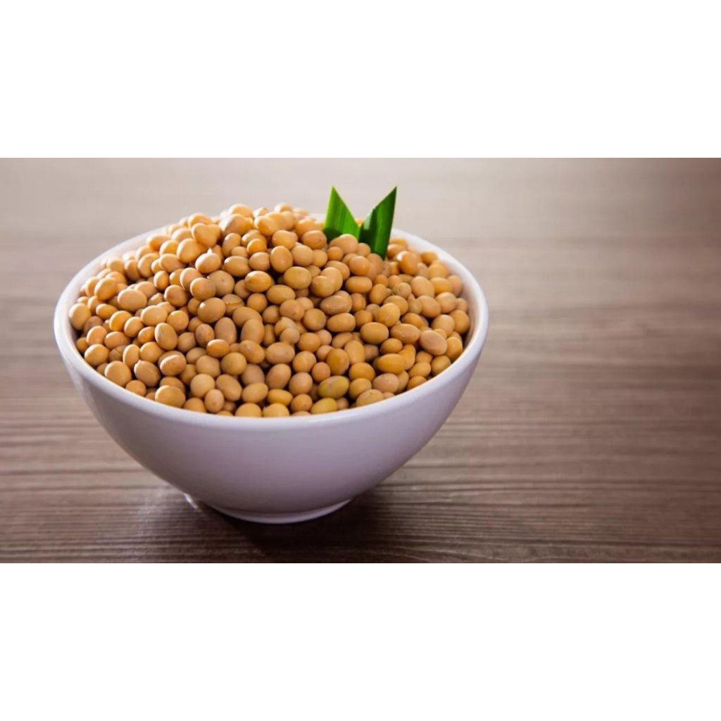 

Kacang kedelai super murah USA SOYBEAN 15 KG PREMIUM