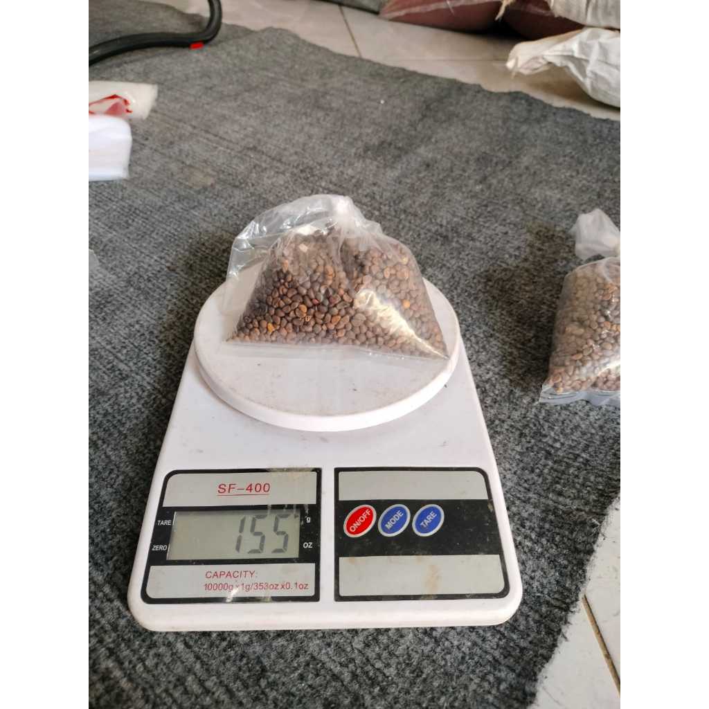 

bibit kangkung super murah 150 gr