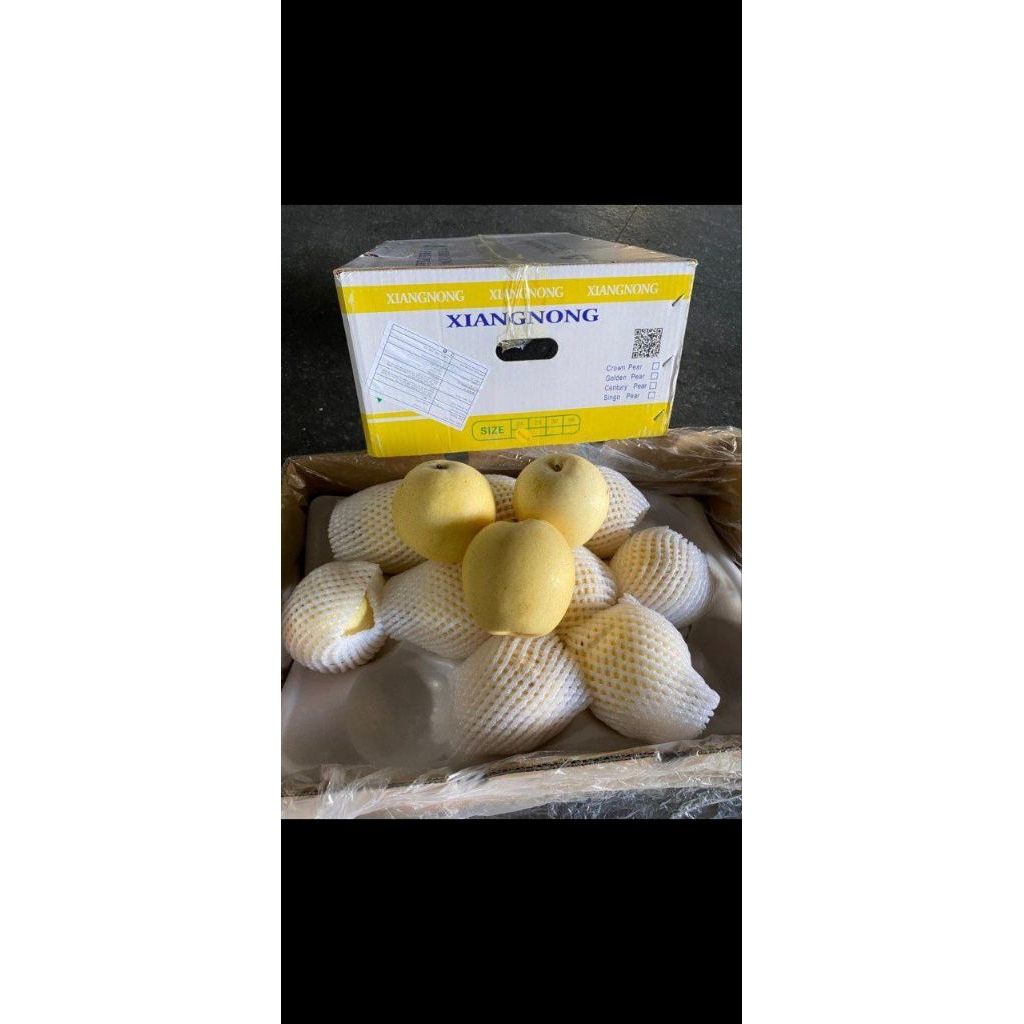 

PEAR CENTURY / PEER FRESH / PERFRESH PERKG