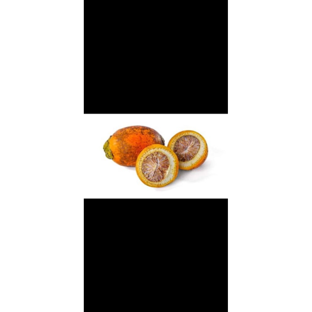 

buah pinang / jambe matang