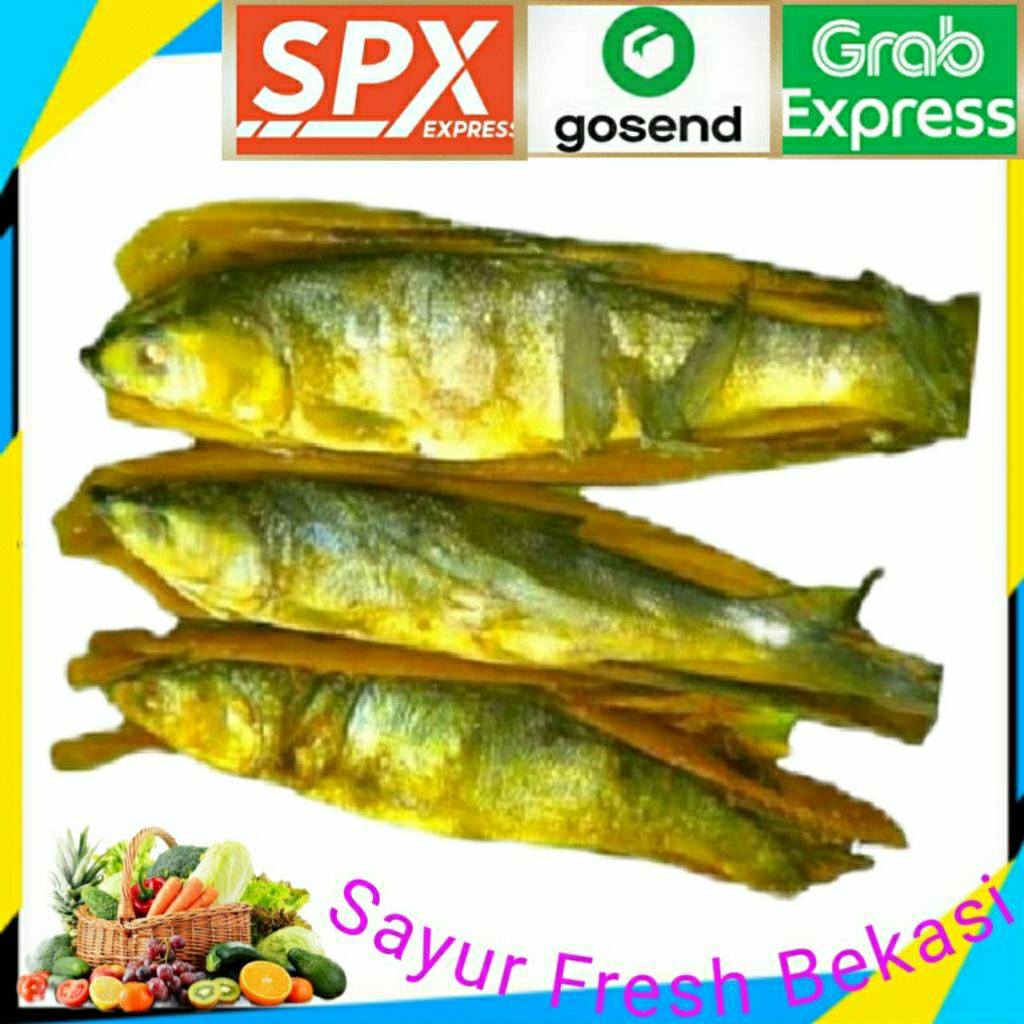

Ikan Bandeng Fresto ( 1 Ekor ).