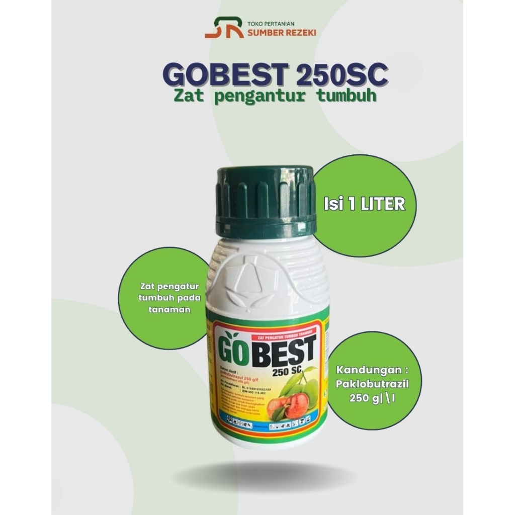 GOBEST 250SC ZPT