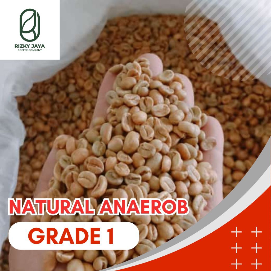 

Greenbean Arabika Arjuno Natural Anaerob 1 Kg