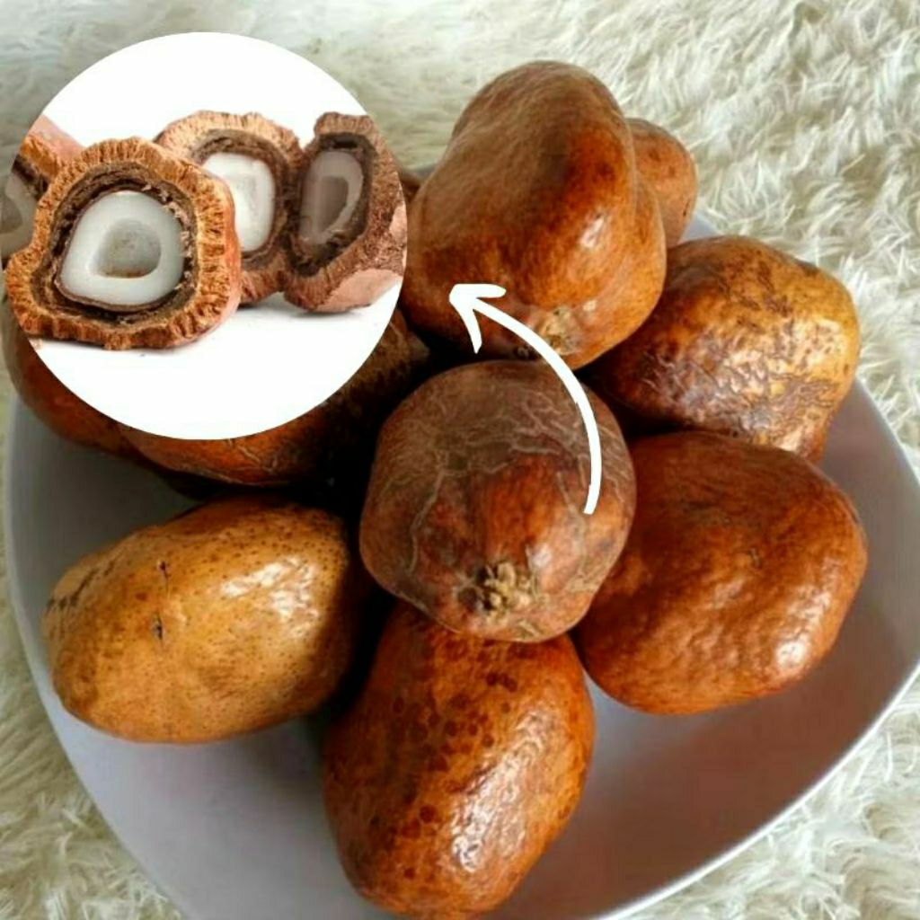 

(ORI) Buah Zuriat 1 kg Untuk Promil / Zuriyat Madinah Promil Ready toko syurgakurma : GROSIR JUAL BUAH ZURIAT DI MEDAN