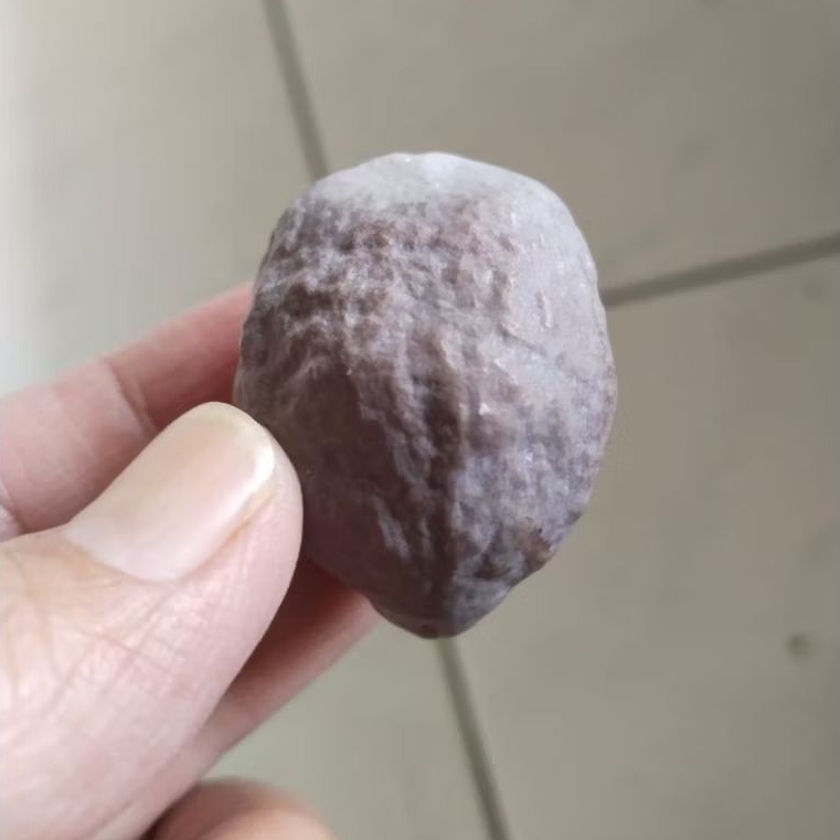 Kemiri Adu Muncang Adu Jayanti Raden Ori Full Tua