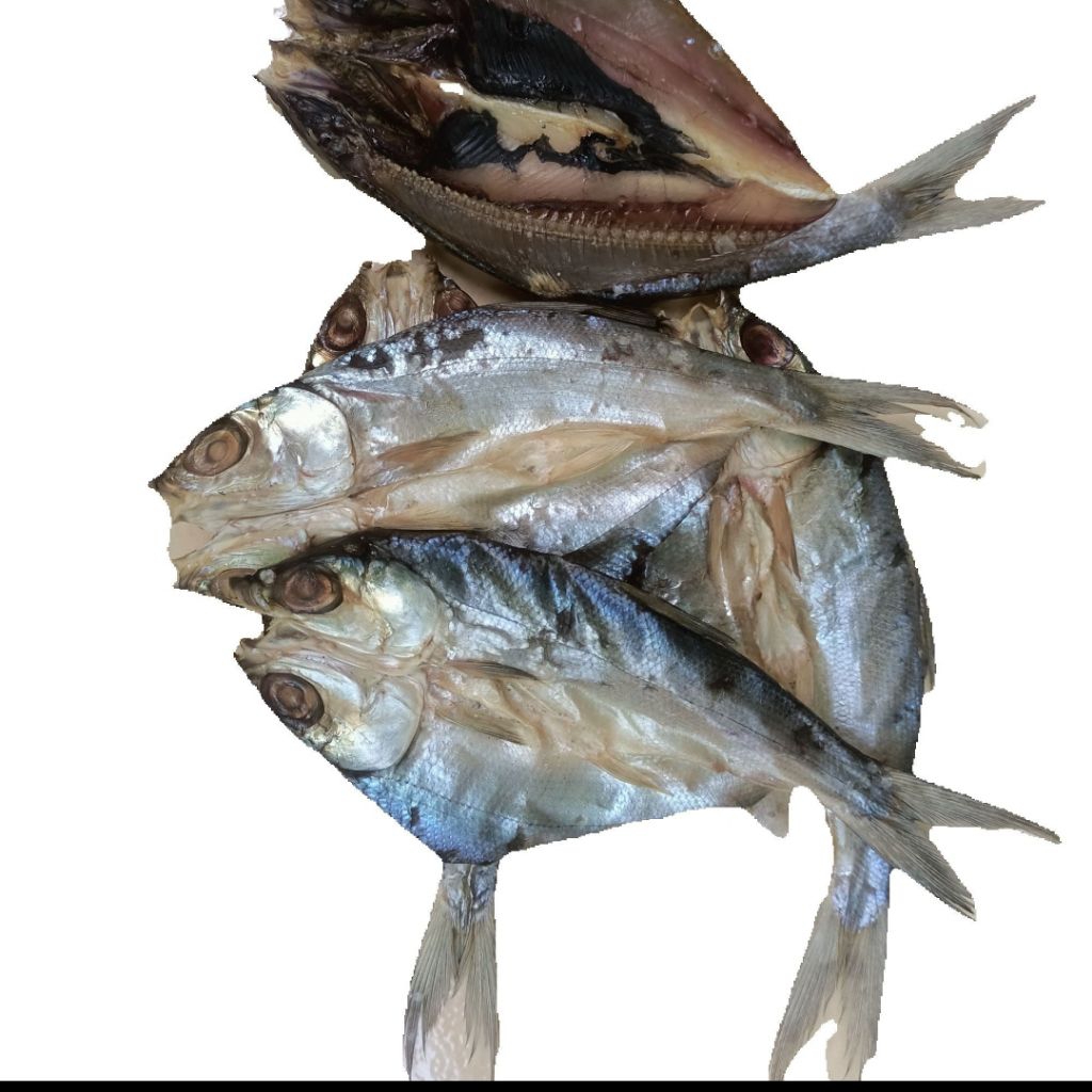 

BESTSELER IKAN ASIN BANDENG BELAH SUPER 1KG