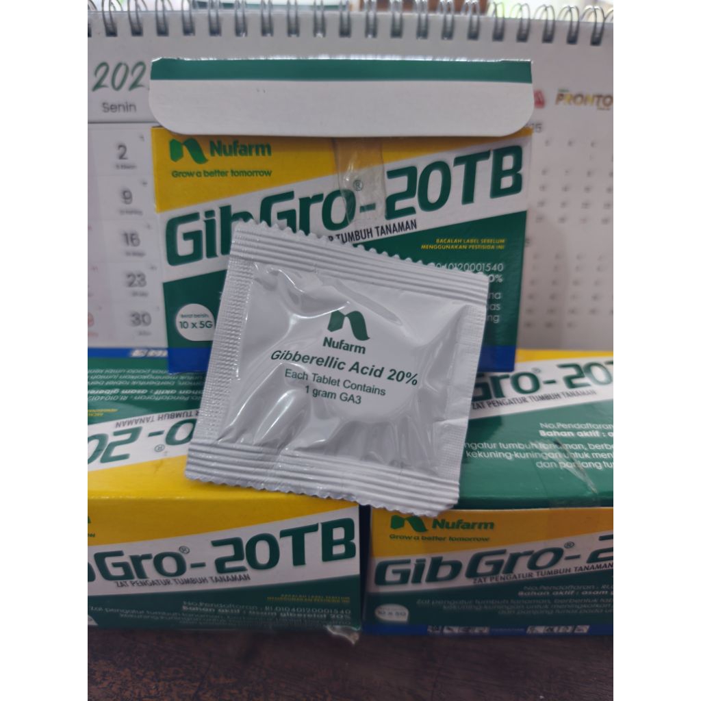 Gibgro 20TB 5gr