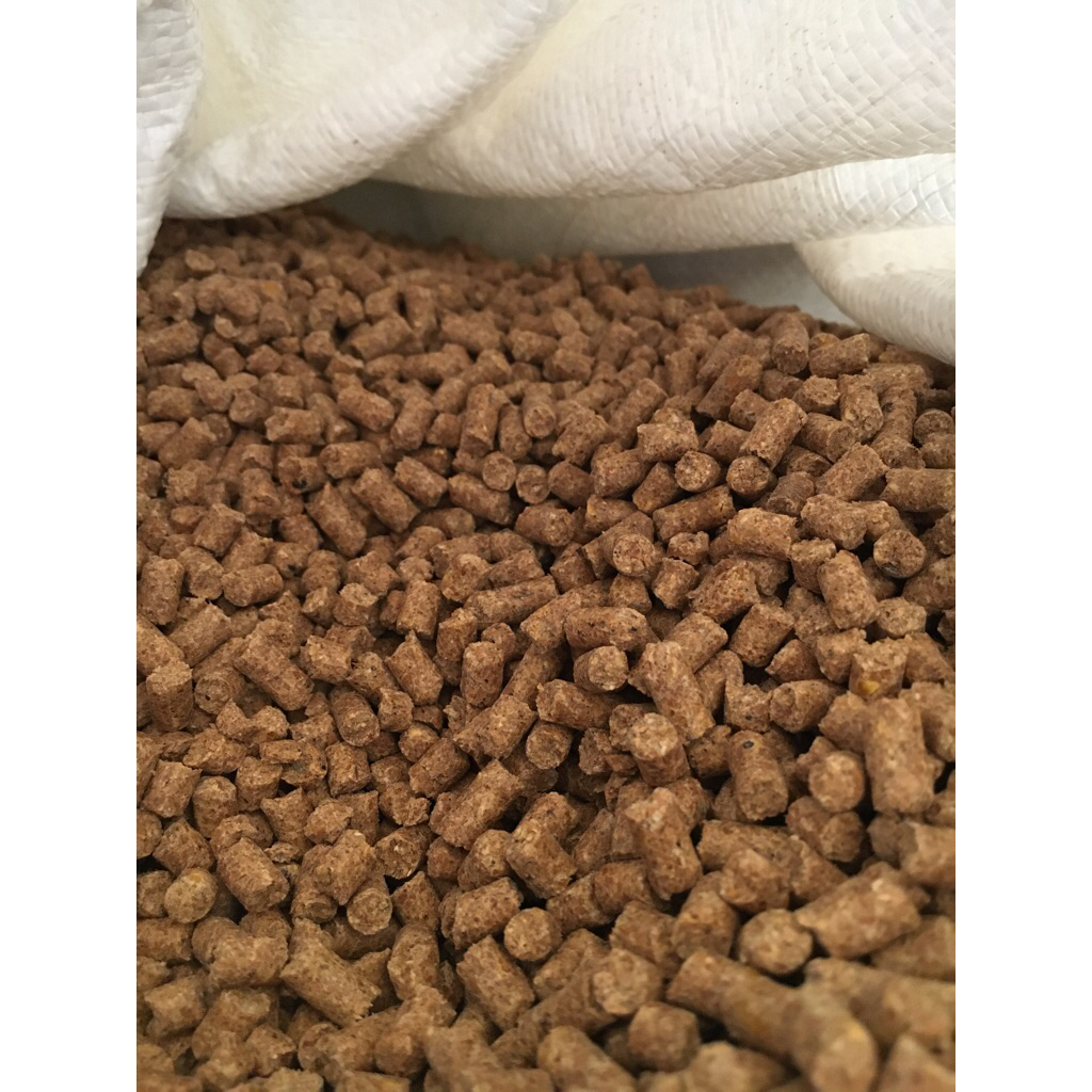 Pelet Gemuk A eceran 1kg / Konsentrat Sapi Gemuk A Japfa comfeed