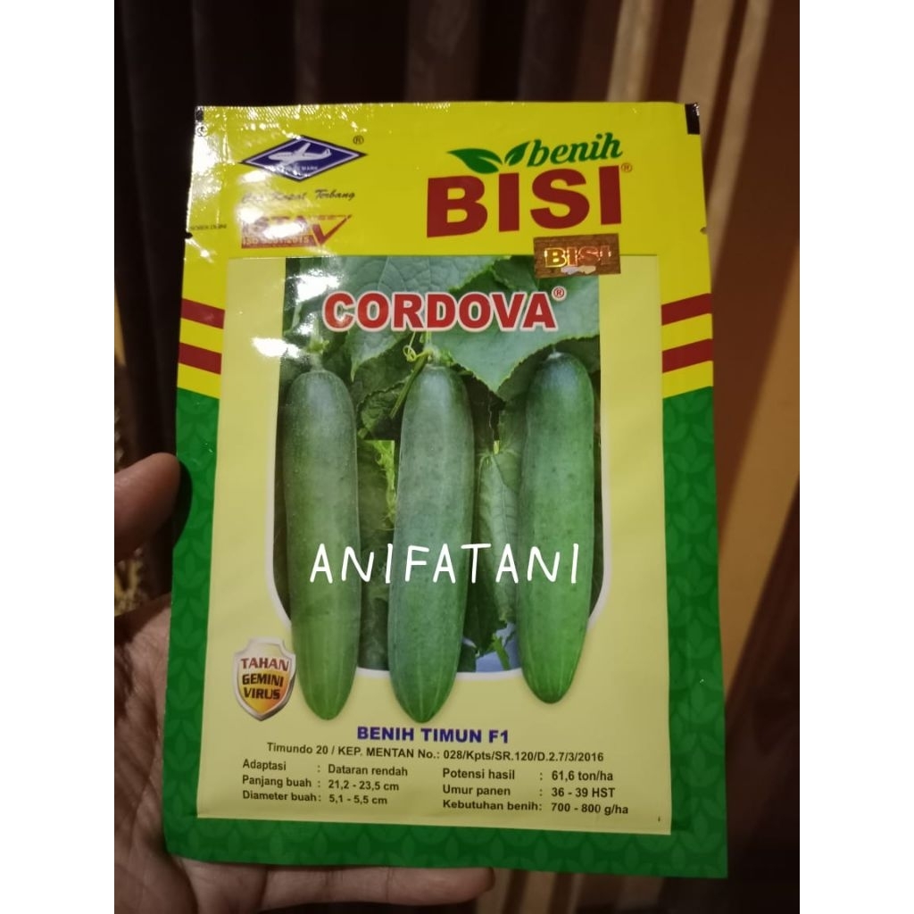 benih timun CORDOVA 20gram