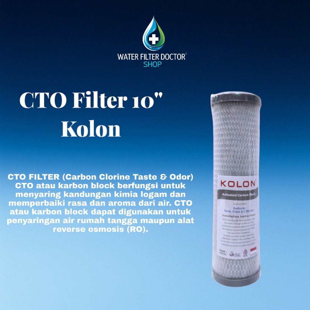 CTO FILTER AIR 10 INCH / FILTER AIR CTO 10 INCH